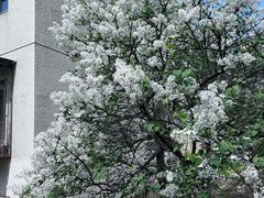 -中福百货(望京店)