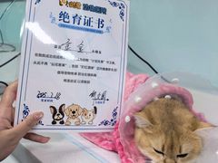 -达爱动物医院·犬猫分区·CT·复杂眼科(远洋山水分院)