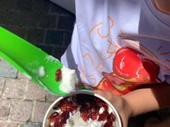 -Salud撒露欧洲冻酸奶(蓝色港湾店)