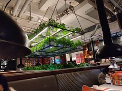 -猫爪爪原切自助烤肉(观音桥阳光世纪店)