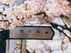-青岛中山公园-索道售票处