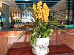 -红鼎豆捞·小红鼎豆捞送(花样年华大厦店)