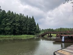 -溱湖国家湿地公园