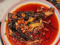 -南锣肥猫·麻辣烤鱼·15年现烤现卖(通州领展店)