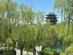 -鹊华居·地道鲁菜·海鲜·融合味(大明湖店)