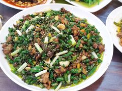 -铁山坪森林公园