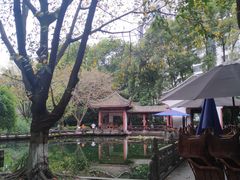-温江公园