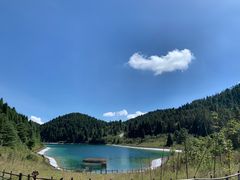 -武陵山森林公园