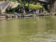 -珠海圆明新园