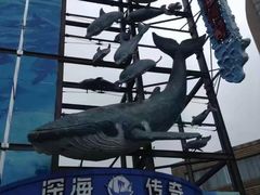 -大连圣亚海洋世界
