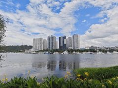 -洱海月湿地公园
