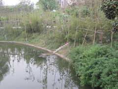 -荆川公园