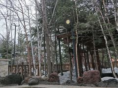-汉拿山温泉度假酒店