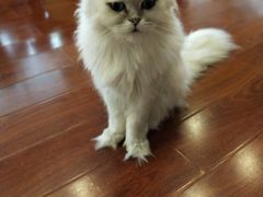 -万达广场(东莞厚街店)