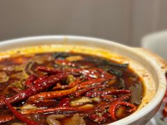 鸡爪肥肠砂锅-马头巷·食景园(苏州总店)
