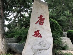 -中国唐苑