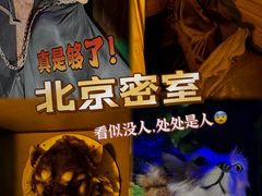-明日世界密室轰趴·剧本桌游·箭馆团建(国贸店)