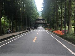 -青城甲(青城山店)