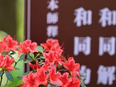 -寂照庵