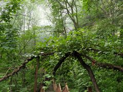 -五女山景区