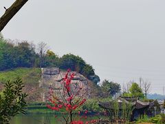 -重庆园博园