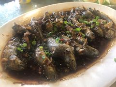 -崖口红树林海鲜餐厅