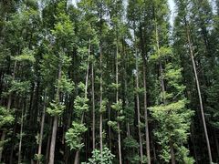 -山王坪喀斯特国家生态公园
