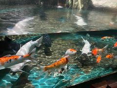 -大连圣亚海洋世界
