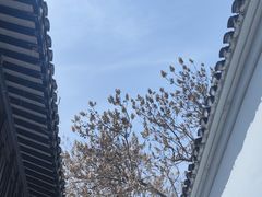-绮园景区