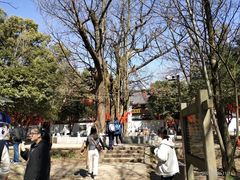-西湖风景区十里琅珰-五云山