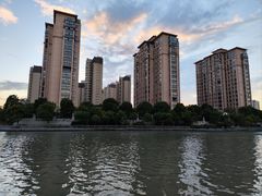 -陈家山荷花公园