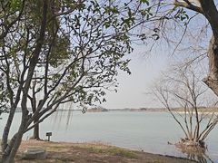 -贡湖湾湿地公园