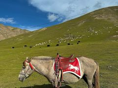 -青海湖国家重点风景名胜区