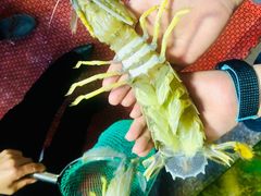 -凯华海鲜火锅·传承三十六年