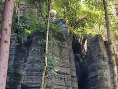 -梭布垭石林景区