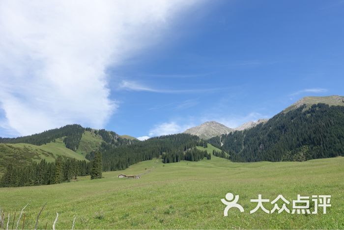 琼库什台紫花坡图片 - 第1张