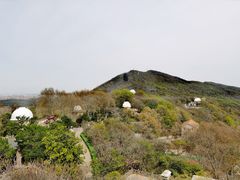 -紫金山天文台