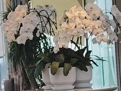 -人间采蜜(海信广场店)