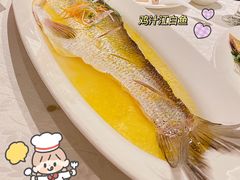 鸡汁江白鱼-颂福楼·南京菜(定淮门店)