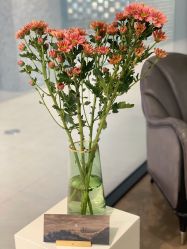 -LB·海菲秀牛奶光官方体验中心