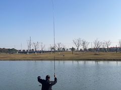 -春花秋色城市公园