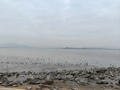 -深圳湾公园(南山区)