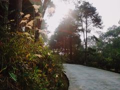 -客乐得玉峰山房车营地