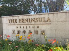 -王府半岛酒店