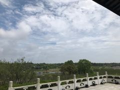 -上海海湾国家森林公园