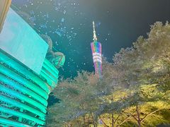 -海心沙亚运公园