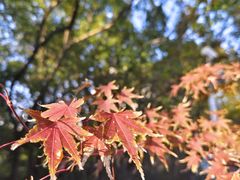 -虞山风景区