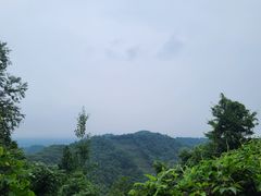 -凤栖山