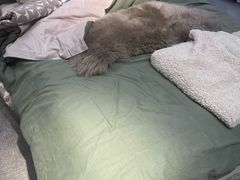 -宜家家居(高新商场店)