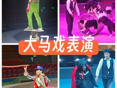 -安徽大青山野生动物世界